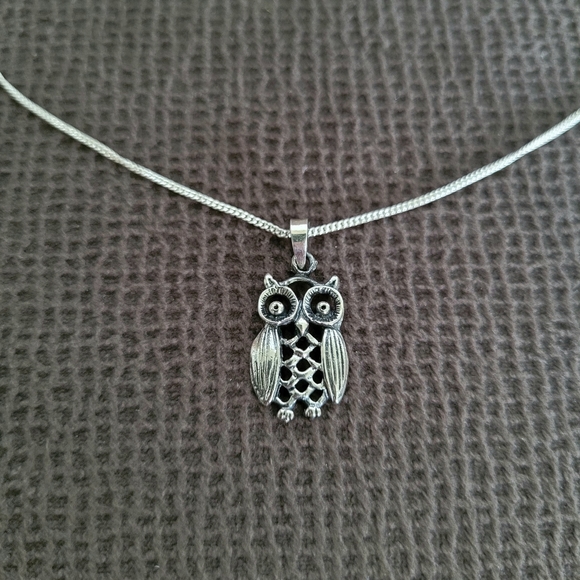 Bonny Jewelry Jewelry - Bonny Jewelry Silver🤍 Owl🦉 Pendant Necklace - NIB